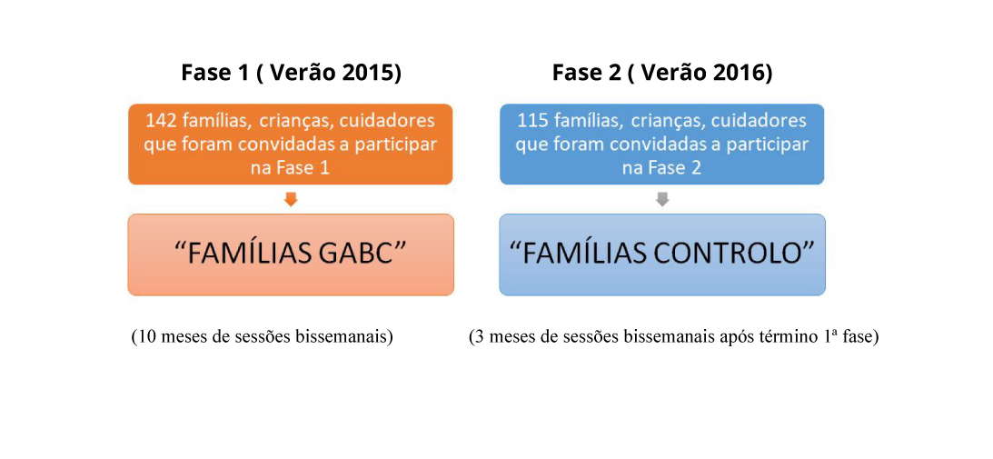 Fases do Estudo piloto